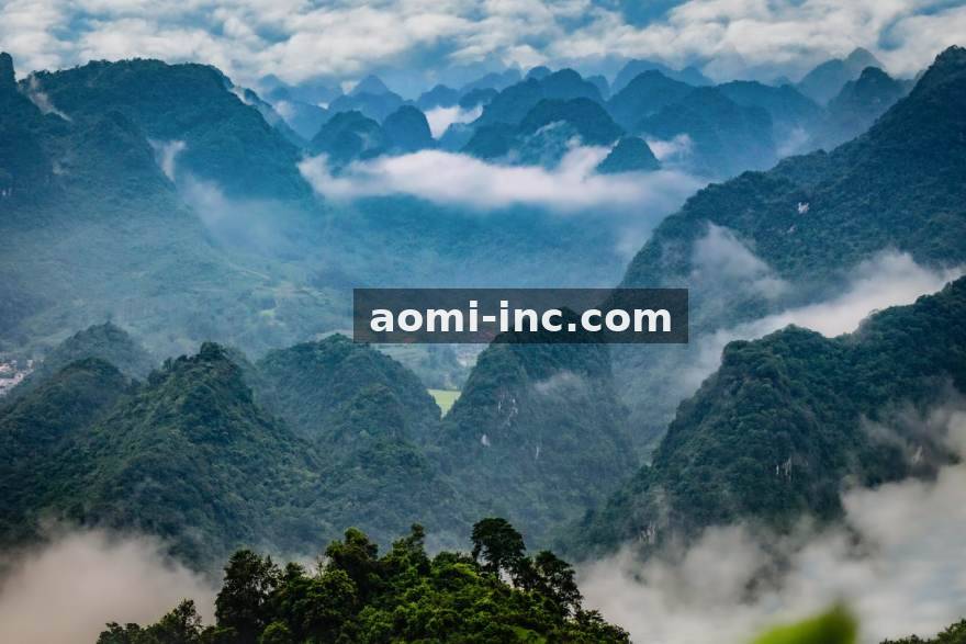 YY体育多端客户端界面展示图